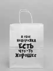 Бежевый подарочные крафт-пакеты с приколами по 1 шт  и 3 шт