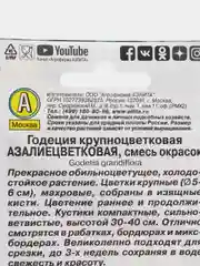 Годеция азалиецветковая смесь окрасок (семена аэлита)