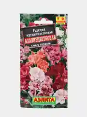 Годеция азалиецветковая смесь окрасок (семена аэлита)