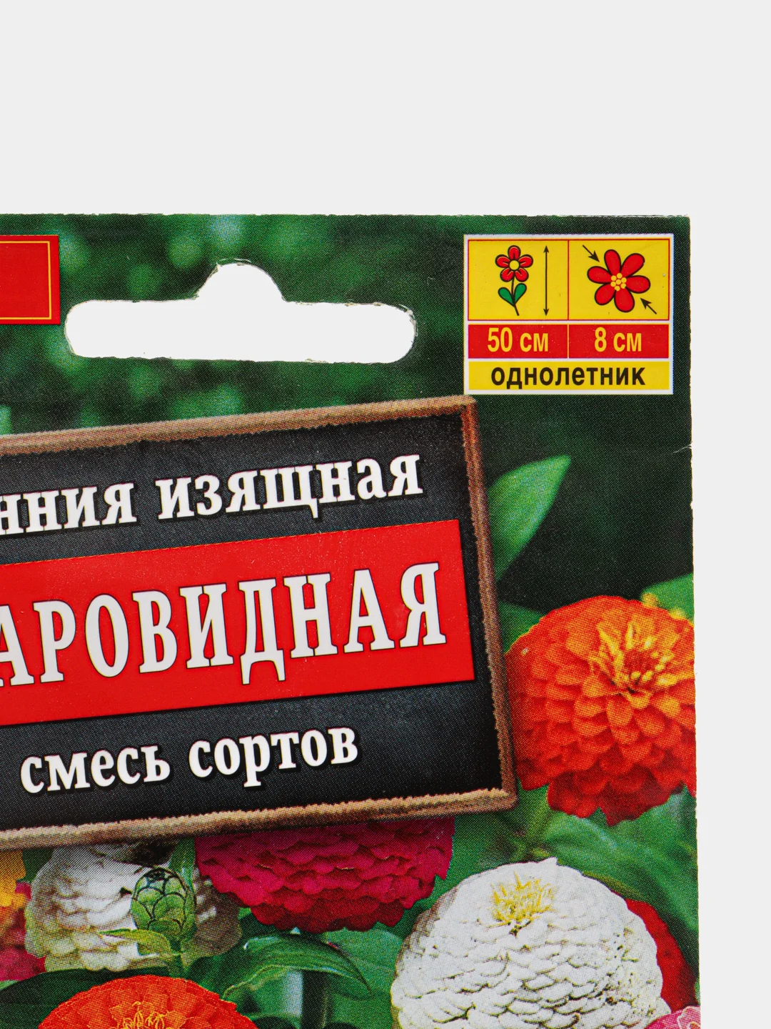 Семена цветов Цинния однолетник "Шаровидная" смесь окрасок