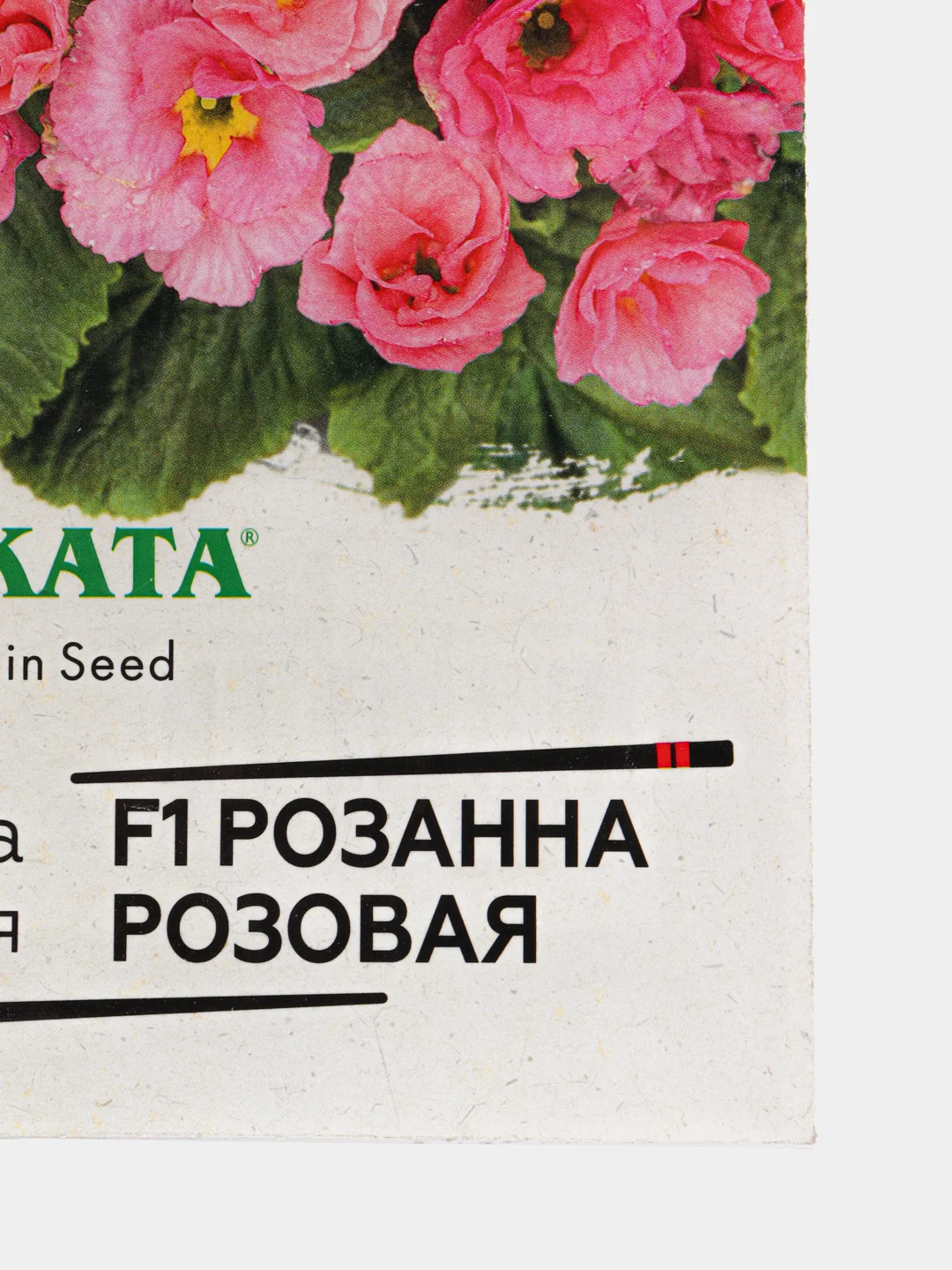 Примула Розанна розовая (семена, цветы)