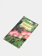 Альбиция Помпадур (семена,цветы)