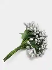 Серебряный тычинки с сахарными вставками. 12 штук