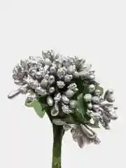 Серебряный тычинки с сахарными вставками. 12 штук