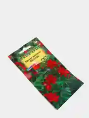 Семена цветов Кассия "Феникс"