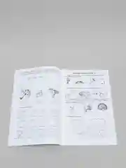 Я учу звуки и буквы, 5-7 лет, Гоголева Н. А