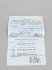 Правила по русскому языку "Дружок", для 1-4 классов