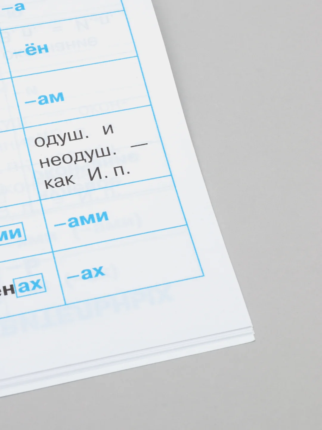 Правила по русскому языку "Дружок", для 1-4 классов