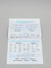 Правила по русскому языку "Дружок", для 1-4 классов