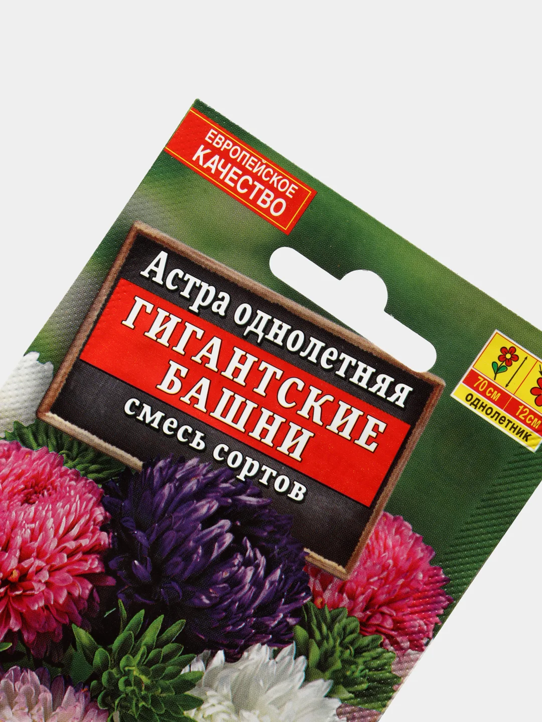 Астра Гигантские Башни (семена,цветы)