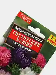 Астра Гигантские Башни (семена,цветы)