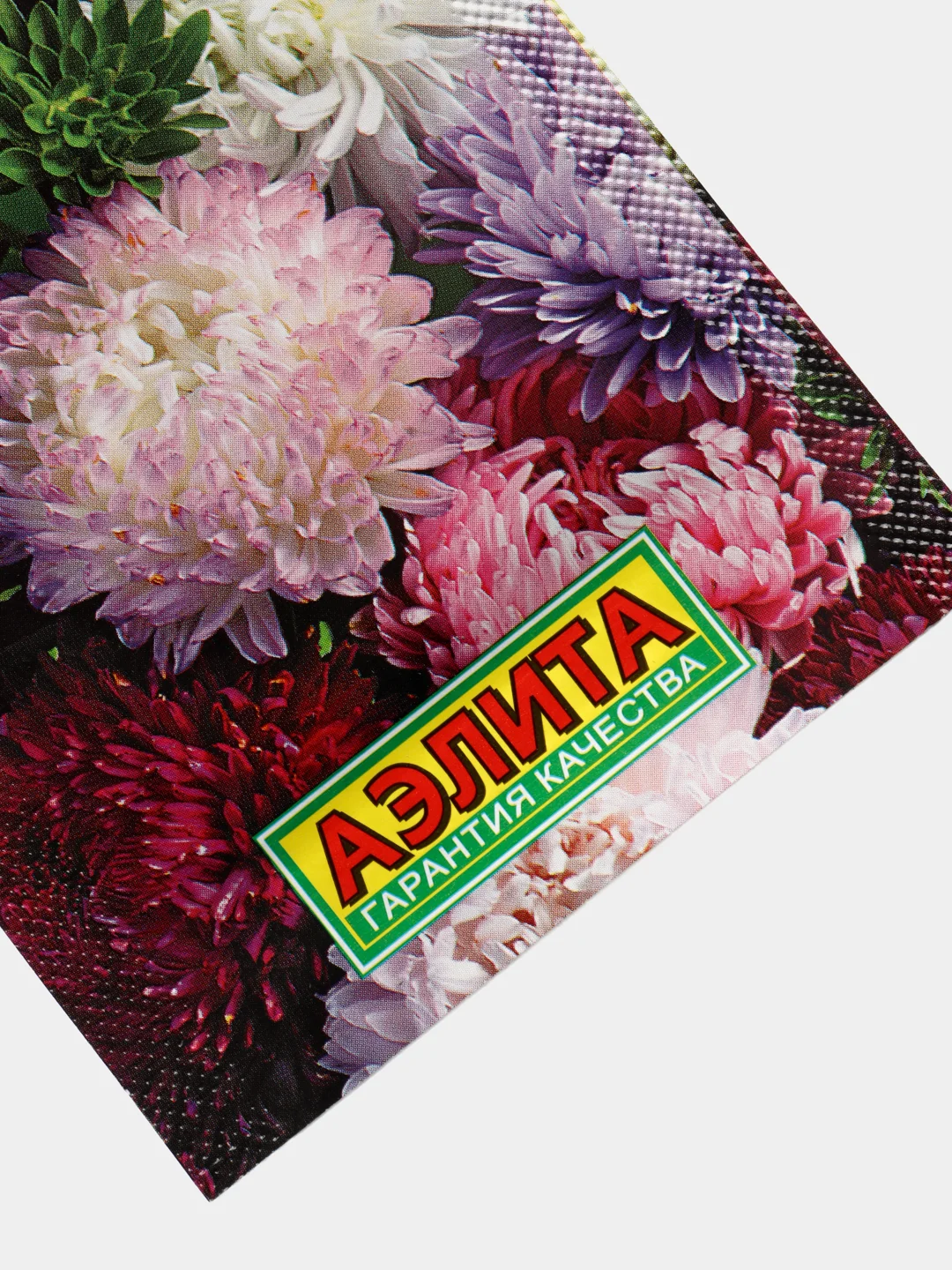 Астра Гигантские Башни (семена,цветы)