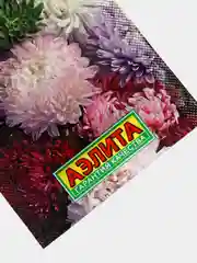 Астра Гигантские Башни (семена,цветы)
