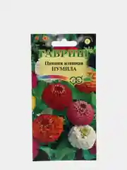 Семена цветы "Цинния Пумила"