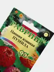 Семена цветы "Цинния Пумила"