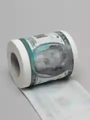 Салатовый туалетная бумага,деньги,прикол