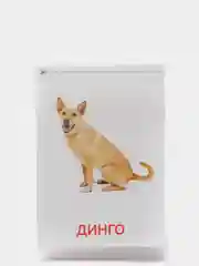 Кремовый развивающие карточки по методике Г. Домана в одном месте (мега)