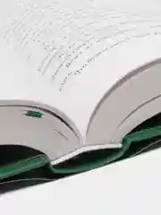 Семь сестер. Сестра тени (#3), Люсинда Райли