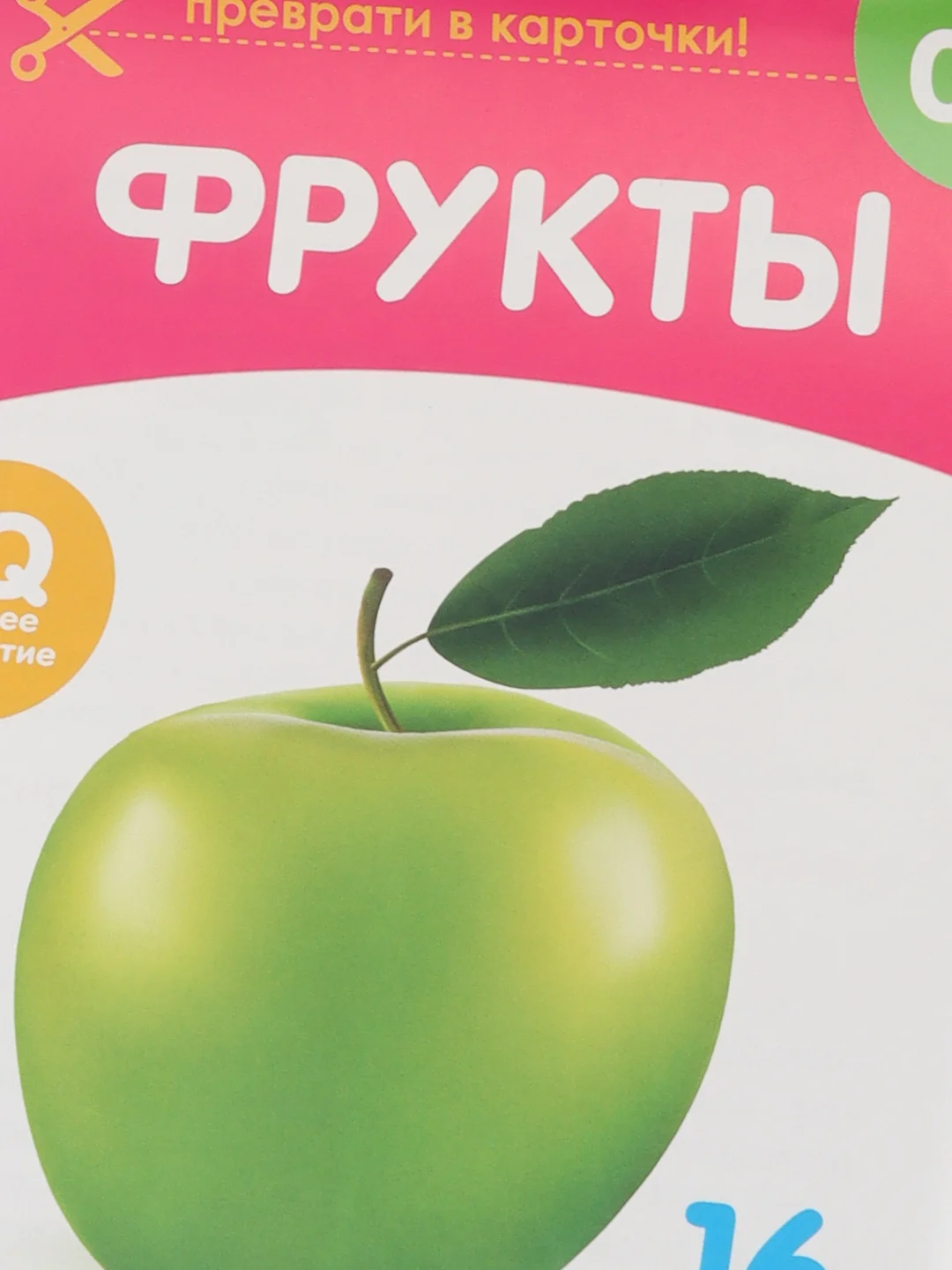 Фуксия развивающие карточки по методике Г. Домана в одном месте (мега)