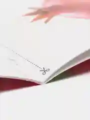 Фуксия развивающие карточки по методике Г. Домана в одном месте (мега)