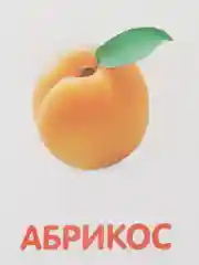 Фуксия развивающие карточки по методике Г. Домана в одном месте (мега)