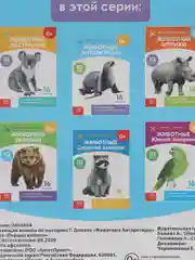 Манго развивающие карточки по методике Г. Домана в одном месте (мега)