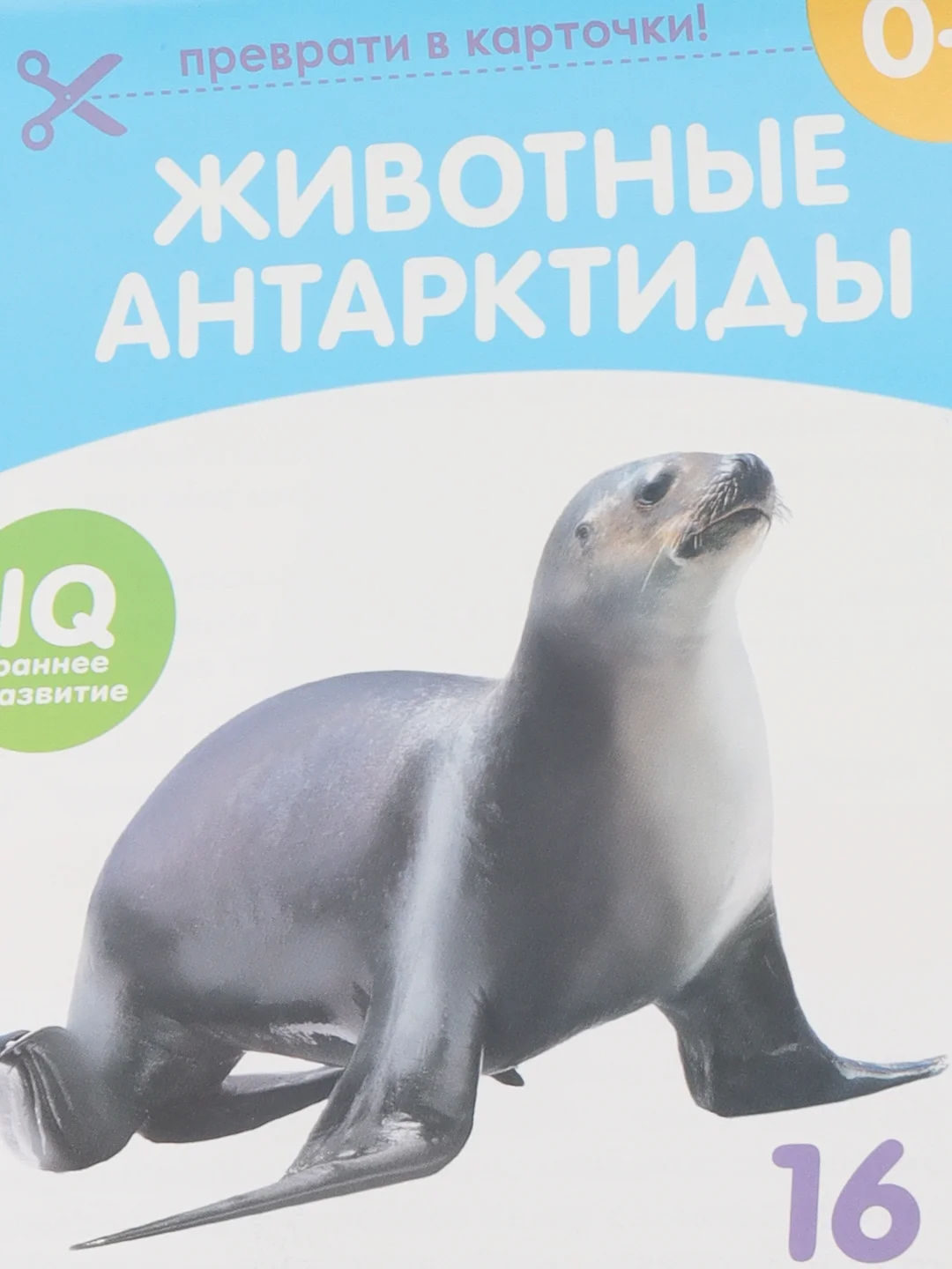 Манго развивающие карточки по методике Г. Домана в одном месте (мега)