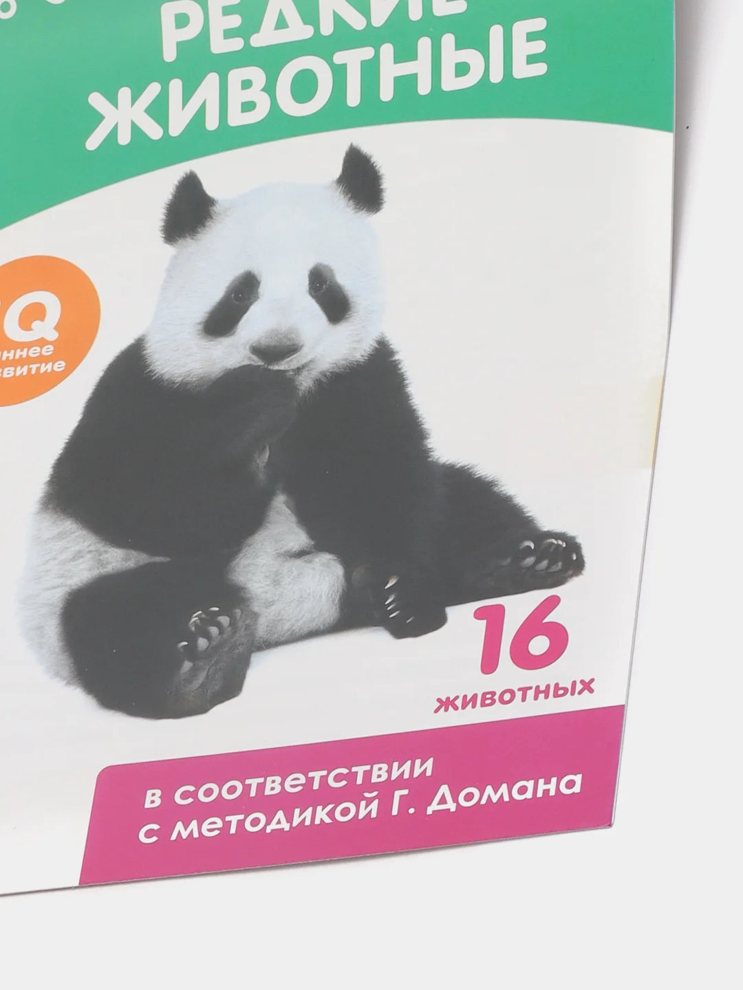 Лесной зеленый развивающие карточки по методике Г. Домана в одном месте (мега)