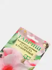 Катарантус Сиеста клубничный (семена,цветы)
