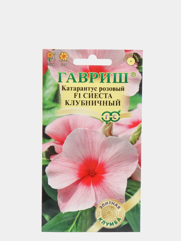 Катарантус Сиеста клубничный (семена,цветы)