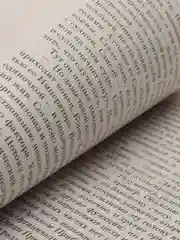 Охота на овец, Харуки Мураками
