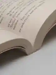 Охота на овец, Харуки Мураками