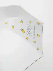 Серый металлик двухсторонний механический зонт