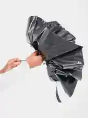 Черный двухсторонний механический зонт