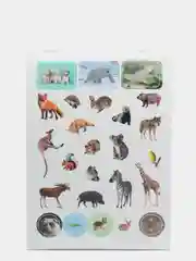 Наклейки для блокнота "Мир животных", 100 штук