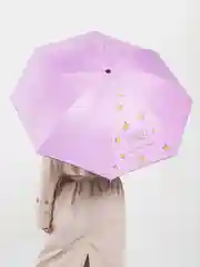 Лавандовый двухсторонний механический зонт