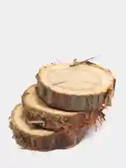 Спилы можжевельника, 15, 30 и 60 штук