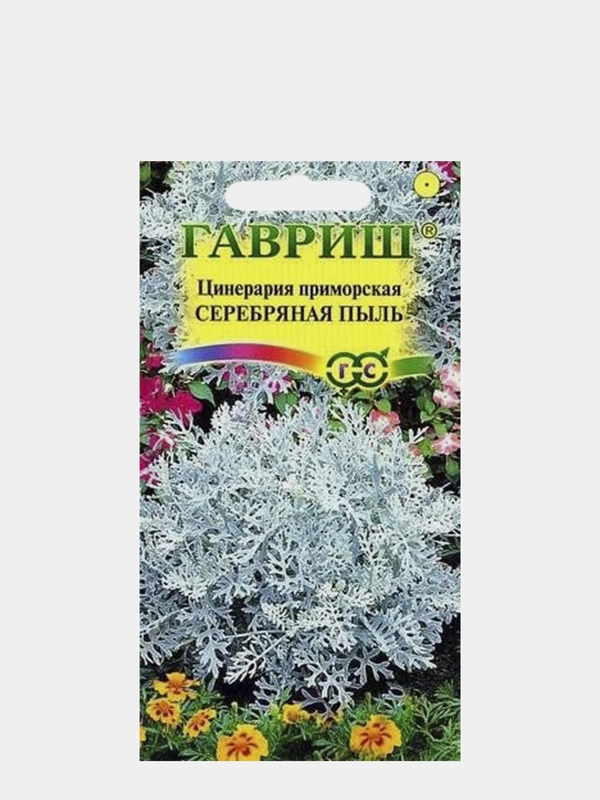 Семена Цинерария приморская "Серебряная пыль"