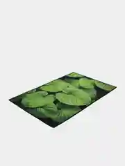 Коврик влаговпитывающий "Velur SPA" 50*80 см "Листья"