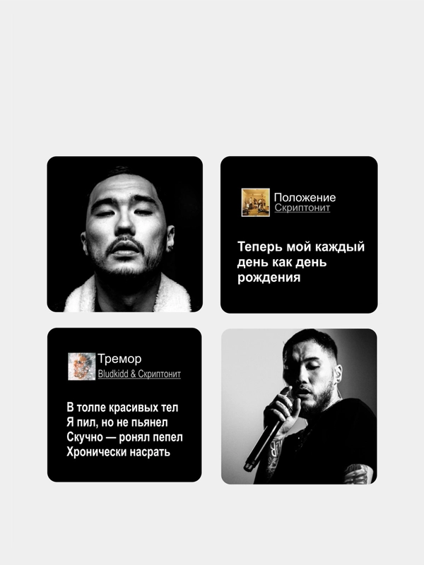 3D наклейки стикеры на телефон "Скриптонит"