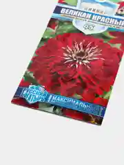 Цинния Великан красный (семена, цветы)