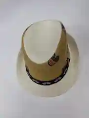 Шляпа детская унисекс
