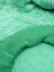 Багровый толстовка в крапинку для животных