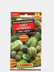 Семена цветов Кукумис "Лавка антиквара"