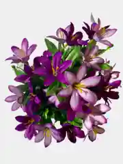 Искусственные цветы. Колокольчики (двухцветный букет). Высота: 35 см. D цветка: до 5 см