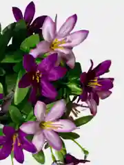 Искусственные цветы. Колокольчики (двухцветный букет). Высота: 35 см. D цветка: до 5 см