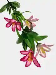 Искусственные цветы. Колокольчики (двухцветный букет). Высота: 35 см. D цветка: до 5 см