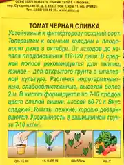 Томат Черная сливка (семена)