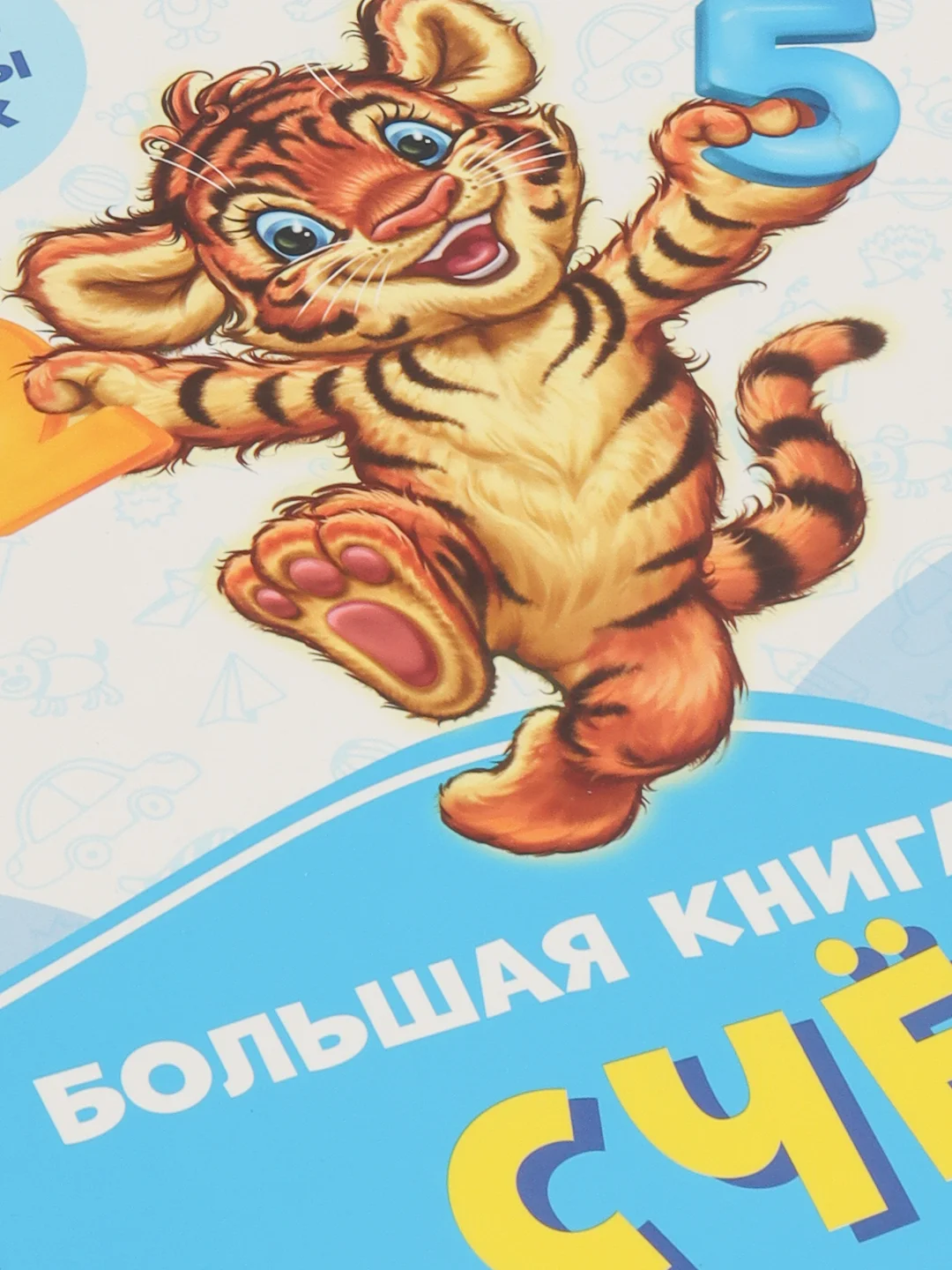 Большая книга. Счёт", Васильковые книжки