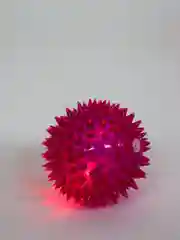 Фуксия мячик игольчатый, со светодиодной подсветкой